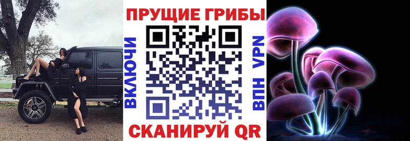 Псилоцибиновые грибы ЛСД  Белая Холуница 